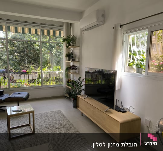 סלון עם טלוויזיה, מזגן וצמחים ליד חלון